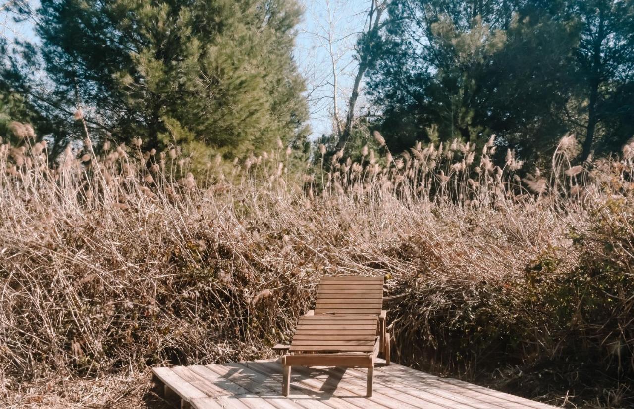 Cooltainer Retreat: Sustainable Coastal Forest Tiny House Near Barcelona Castelldefels Dış mekan fotoğraf